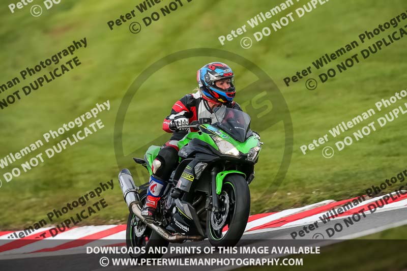 Oulton Park 21st March 2020;PJ Motorsport Photography 2020;anglesey;brands hatch;cadwell park;croft;donington park;enduro digital images;event digital images;eventdigitalimages;mallory;no limits;oulton park;peter wileman photography;racing digital images;silverstone;snetterton;trackday digital images;trackday photos;vmcc banbury run;welsh 2 day enduro